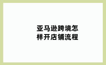 亚马逊跨境怎样开店铺流程