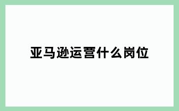亚马逊运营什么岗位