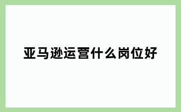 亚马逊运营什么岗位好