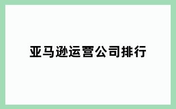 亚马逊运营公司排行