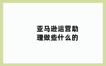 亚马逊运营助理做些什么的