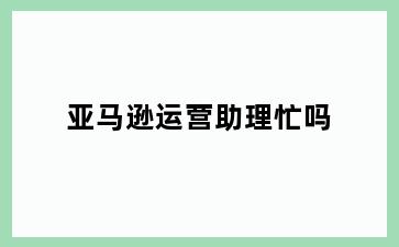 亚马逊运营助理忙吗