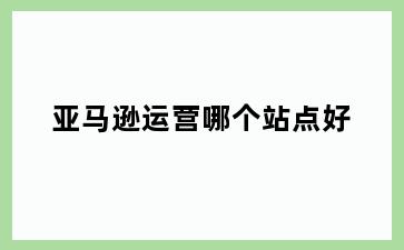 亚马逊运营哪个站点好