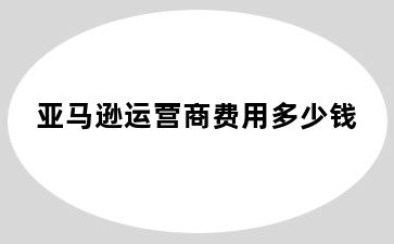 亚马逊运营商费用多少钱