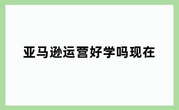 亚马逊运营好学吗现在