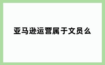 亚马逊运营属于文员么