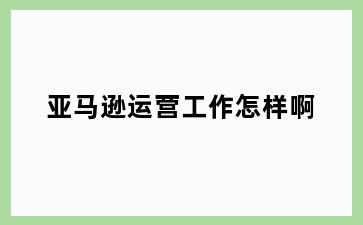 亚马逊运营工作怎样啊
