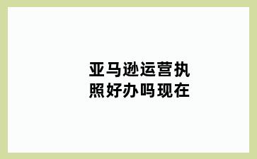 亚马逊运营执照好办吗现在