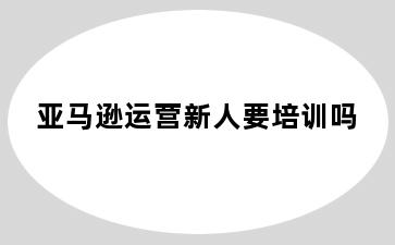 亚马逊运营新人要培训吗