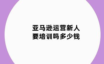 亚马逊运营新人要培训吗多少钱