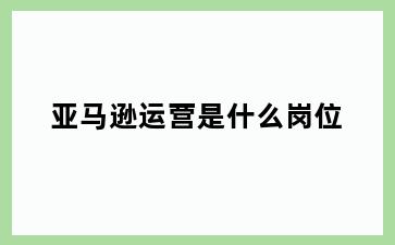 亚马逊运营是什么岗位