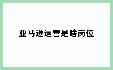 亚马逊运营是啥岗位