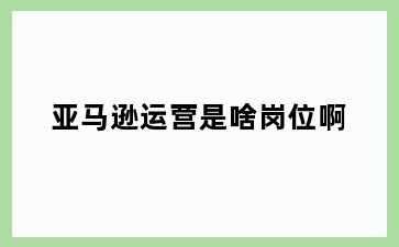 亚马逊运营是啥岗位啊