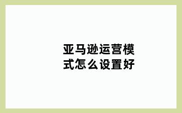 亚马逊运营模式怎么设置好
