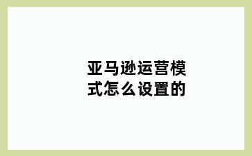 亚马逊运营模式怎么设置的