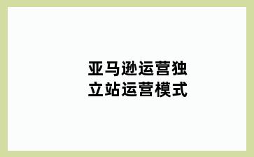 亚马逊运营独立站运营模式
