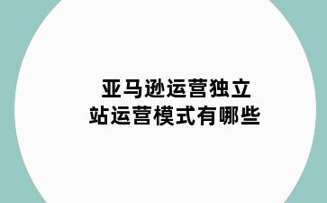 亚马逊运营独立站运营模式有哪些