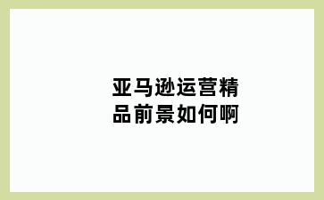 亚马逊运营精品前景如何啊