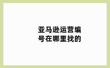 亚马逊运营编号在哪里找的