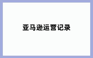 亚马逊运营记录