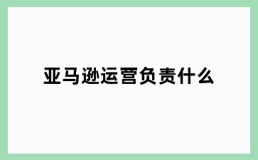 亚马逊运营负责什么