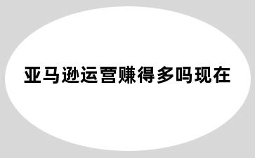亚马逊运营赚得多吗现在