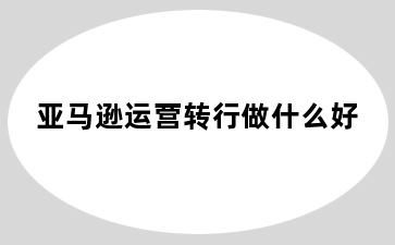 亚马逊运营转行做什么好