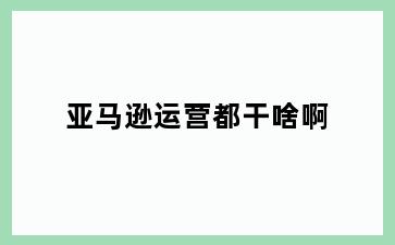 亚马逊运营都干啥啊