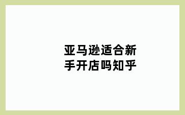 亚马逊适合新手开店吗知乎