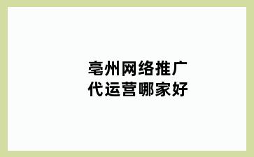 亳州网络推广代运营哪家好