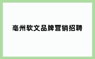 亳州软文品牌营销招聘