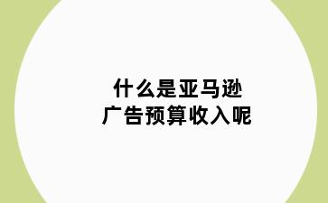 什么是亚马逊广告预算收入呢