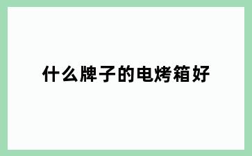 什么牌子的电烤箱好