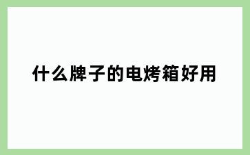 什么牌子的电烤箱好用