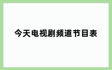 今天电视剧频道节目表