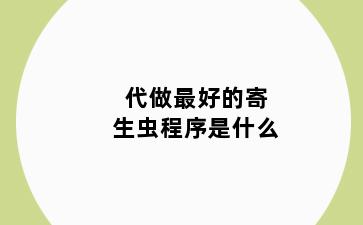 代做最好的寄生虫程序是什么