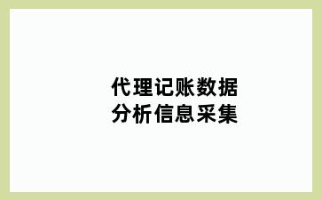 代理记账数据分析信息采集