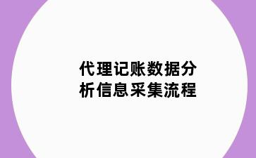 代理记账数据分析信息采集流程