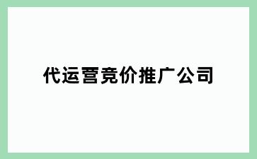 代运营竞价推广公司