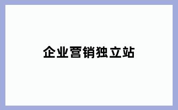 企业营销独立站