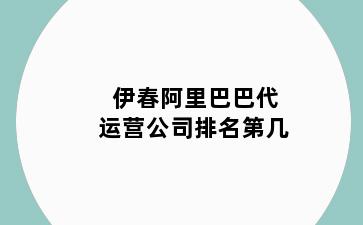 伊春阿里巴巴代运营公司排名第几