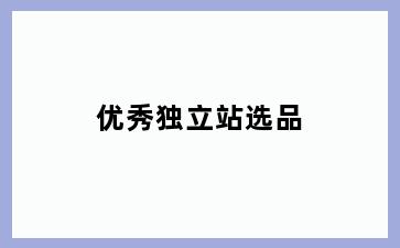 优秀独立站选品