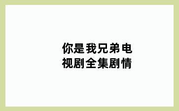 你是我兄弟电视剧全集剧情