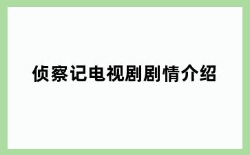 侦察记电视剧剧情介绍