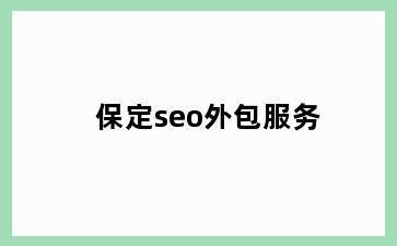 保定seo外包服务
