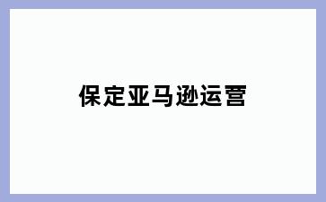 保定亚马逊运营