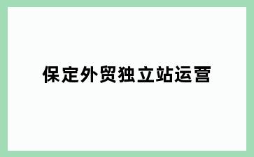 保定外贸独立站运营