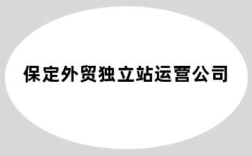 保定外贸独立站运营公司