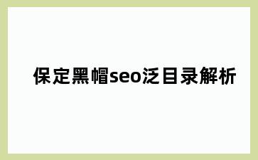 保定黑帽seo泛目录解析