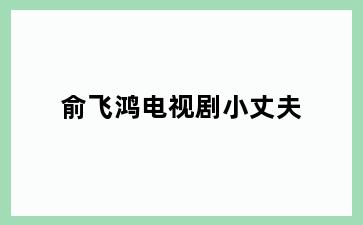 俞飞鸿电视剧小丈夫